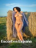 Escorts en Chiautla